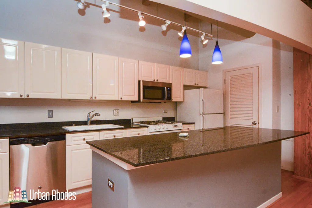 375 W ERIE ST 60654-unit#321-Chicago-IL