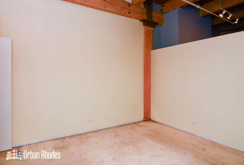 375 W ERIE ST 60654-unit#321-Chicago-IL