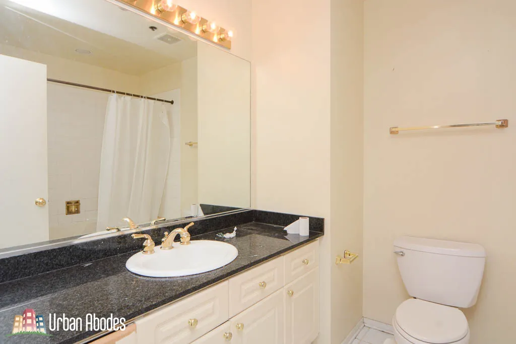 375 W ERIE ST 60654-unit#321-Chicago-IL