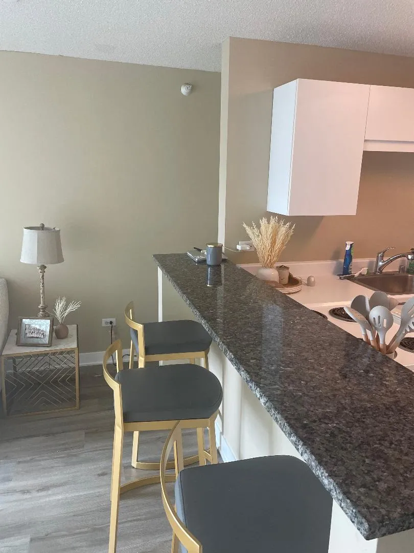 2 E ERIE ST 60611-unit#1901-Chicago-IL