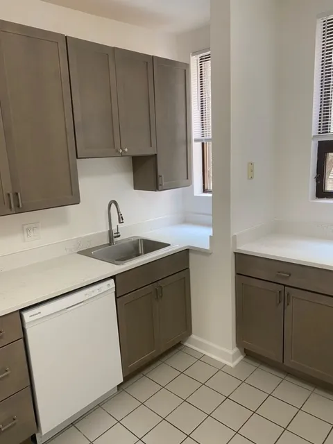 3608 N FREMONT ST 60613-unit#01-Chicago-IL