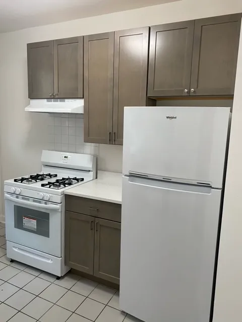 3608 N FREMONT ST 60613-unit#01-Chicago-IL