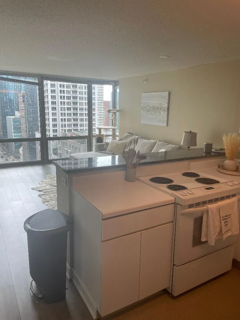2 E ERIE ST 60611-unit#1901-Chicago-IL