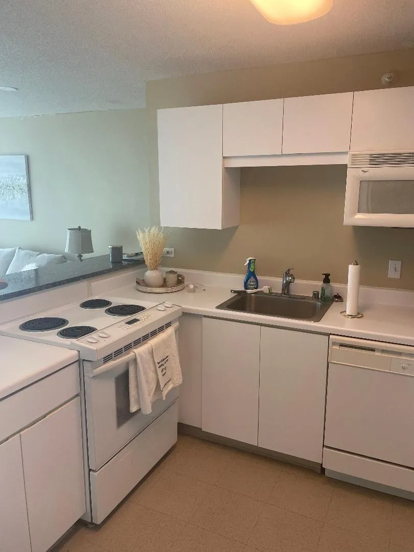 2 E ERIE ST 60611-unit#1901-Chicago-IL