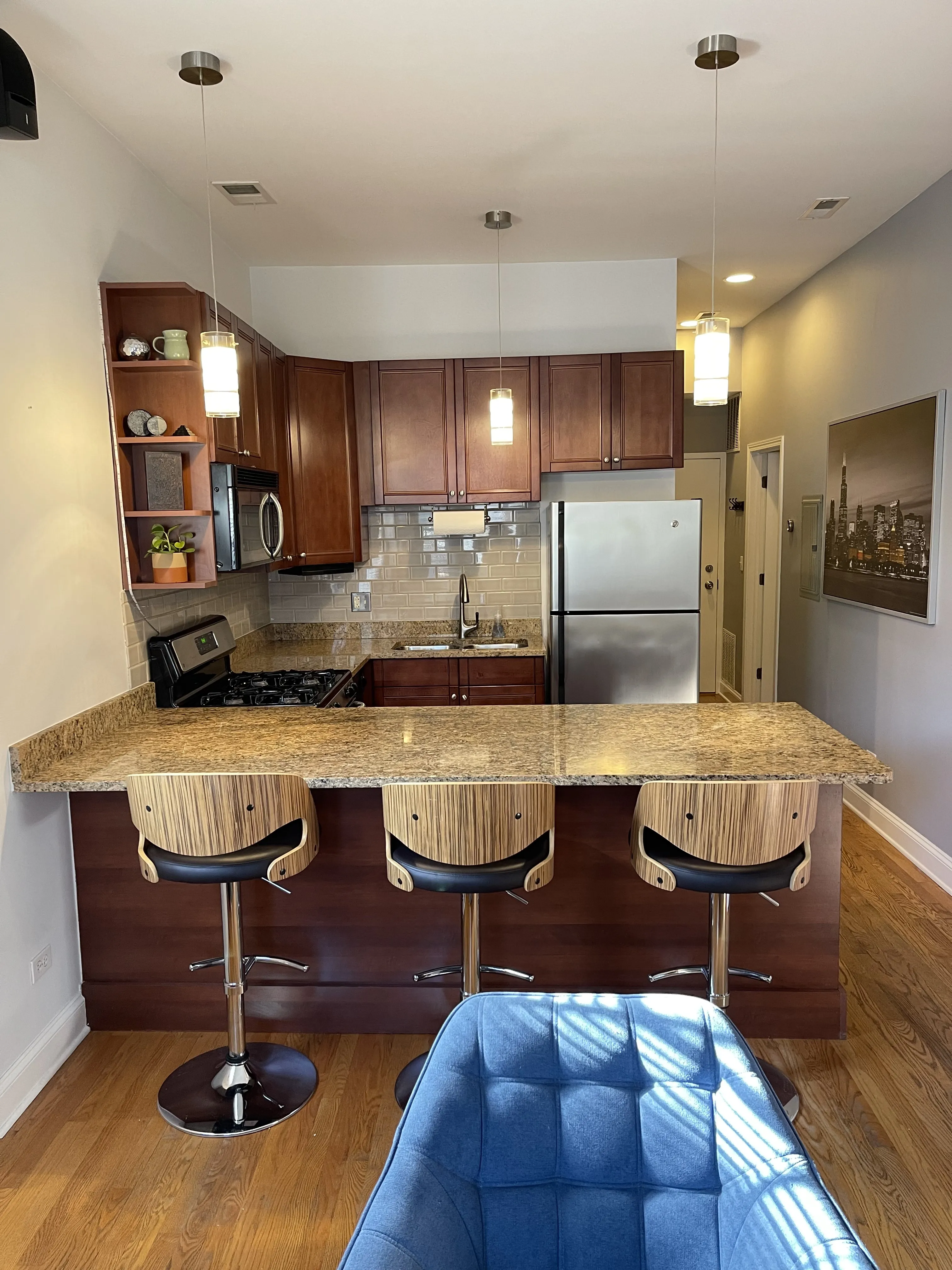 2025 W ERIE ST 60612-unit#1R-Chicago-IL