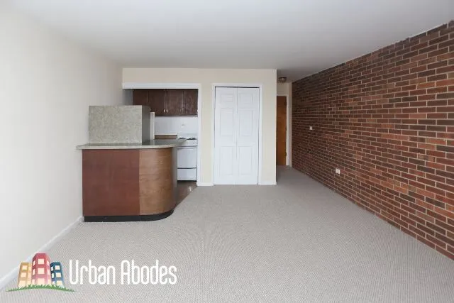 2012 N ORLEANS ST 60614-unit#C6-Chicago-IL