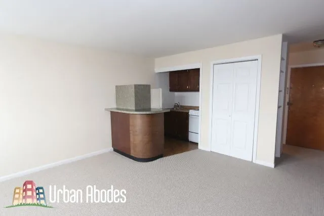 2012 N ORLEANS ST 60614-unit#C6-Chicago-IL