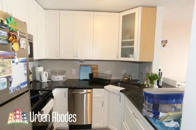 1212 N LASALLE ST 60610-unit#1207-Chicago-IL