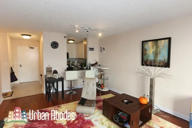 1212 N LASALLE ST 60610-unit#1207-Chicago-IL