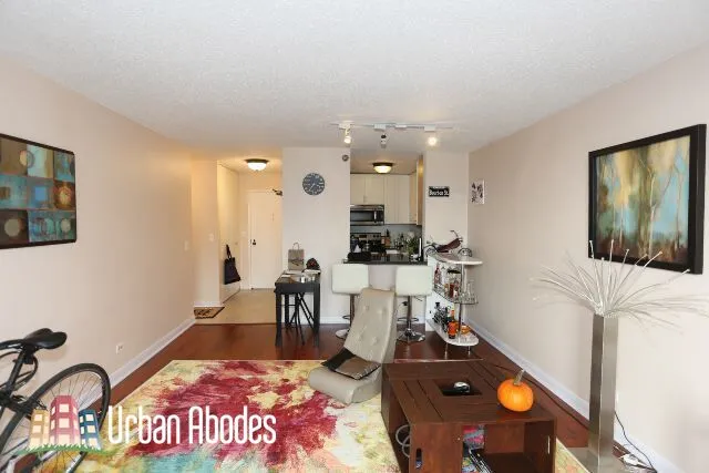 1212 N LASALLE ST 60610-unit#1207-Chicago-IL