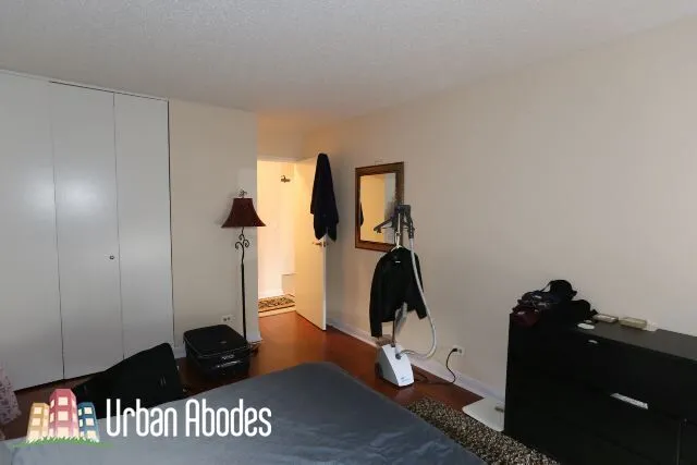 1212 N LASALLE ST 60610-unit#1207-Chicago-IL