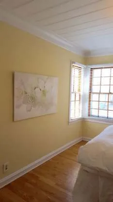 4149 N WOLCOTT AVE 60613-Blue House-unit#1-Chicago-IL