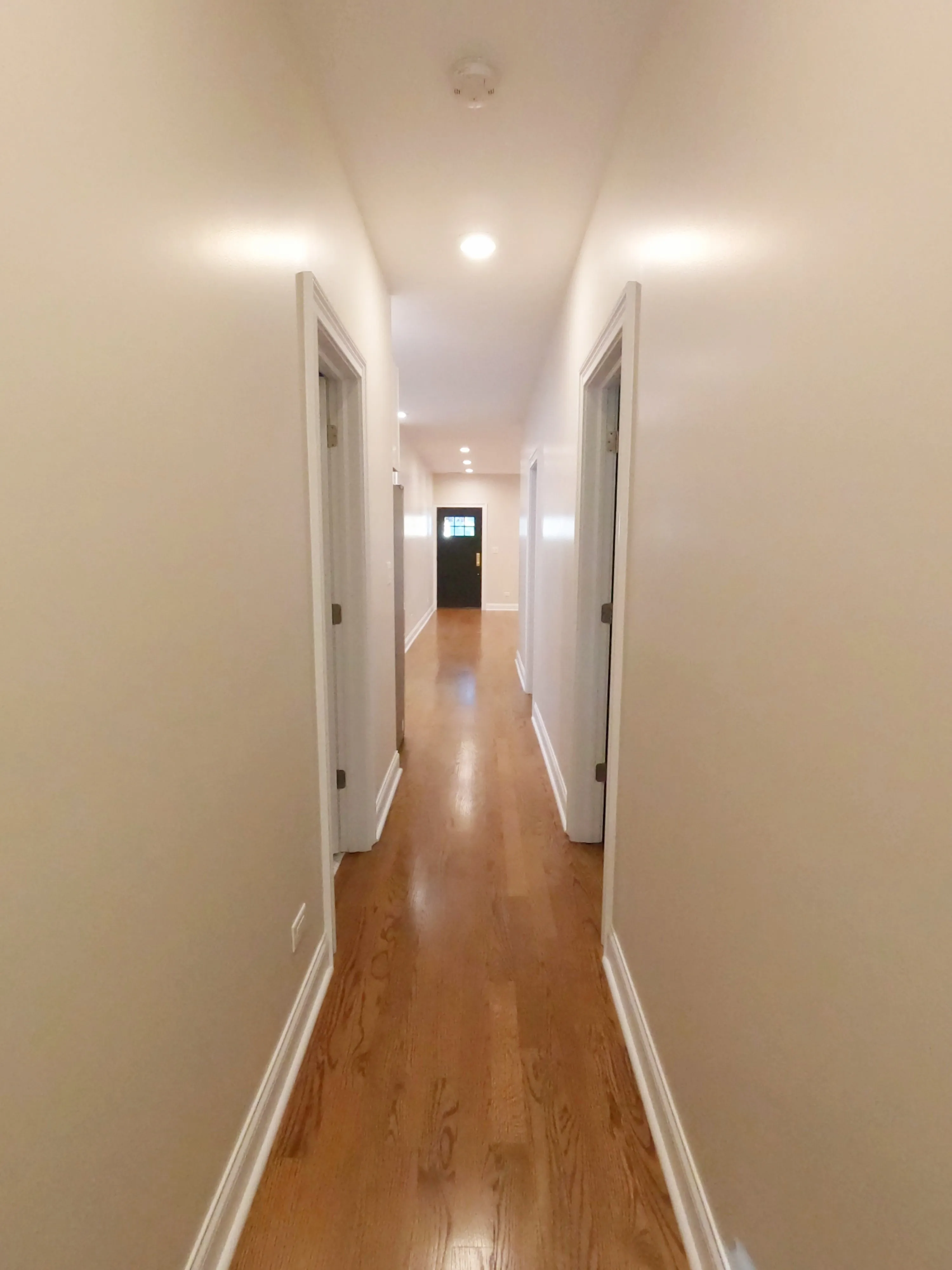 3914 N HERMITAGE AVE 60613-unit#2-Chicago-IL