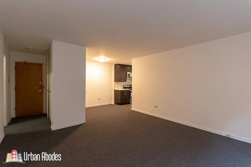 520 W ALDINE AVE 60657-unit#306-Chicago-IL