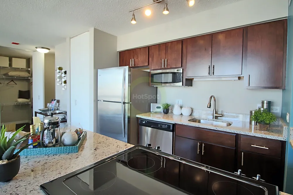 River North Apartments For Rent 1 Bedroom, 1 Bathroom At 1 W Superior