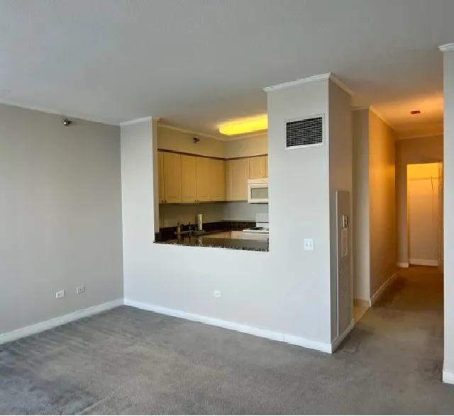 512 N MCCLURG CT 60611-The Residences at River East Center-unit#4802-Chicago-IL