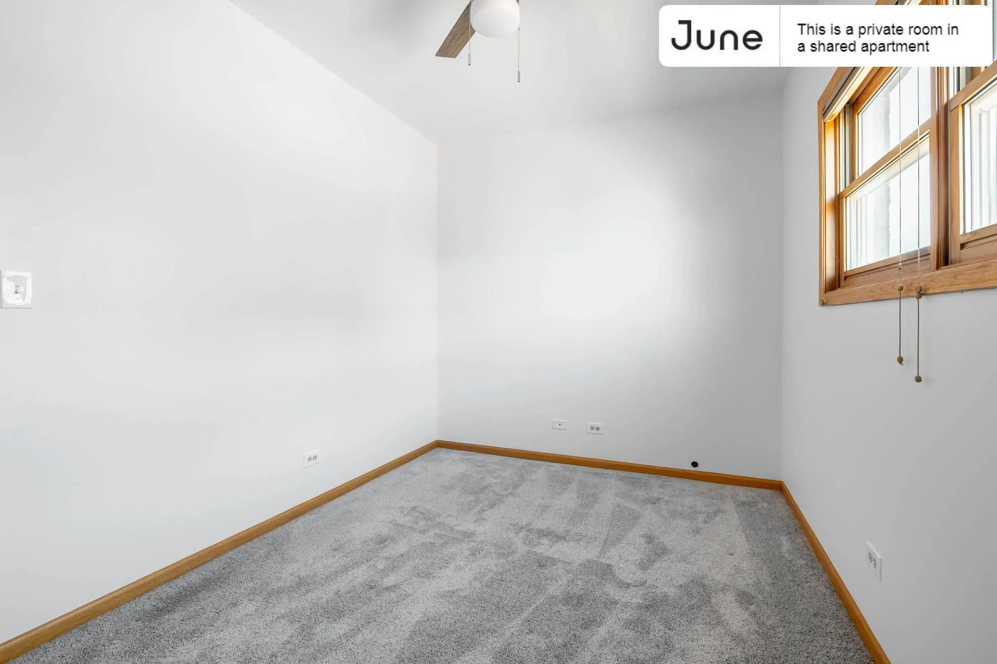 1359 W HUBBARD ST 60642-Room For Rent-unit#003-Chicago-IL
