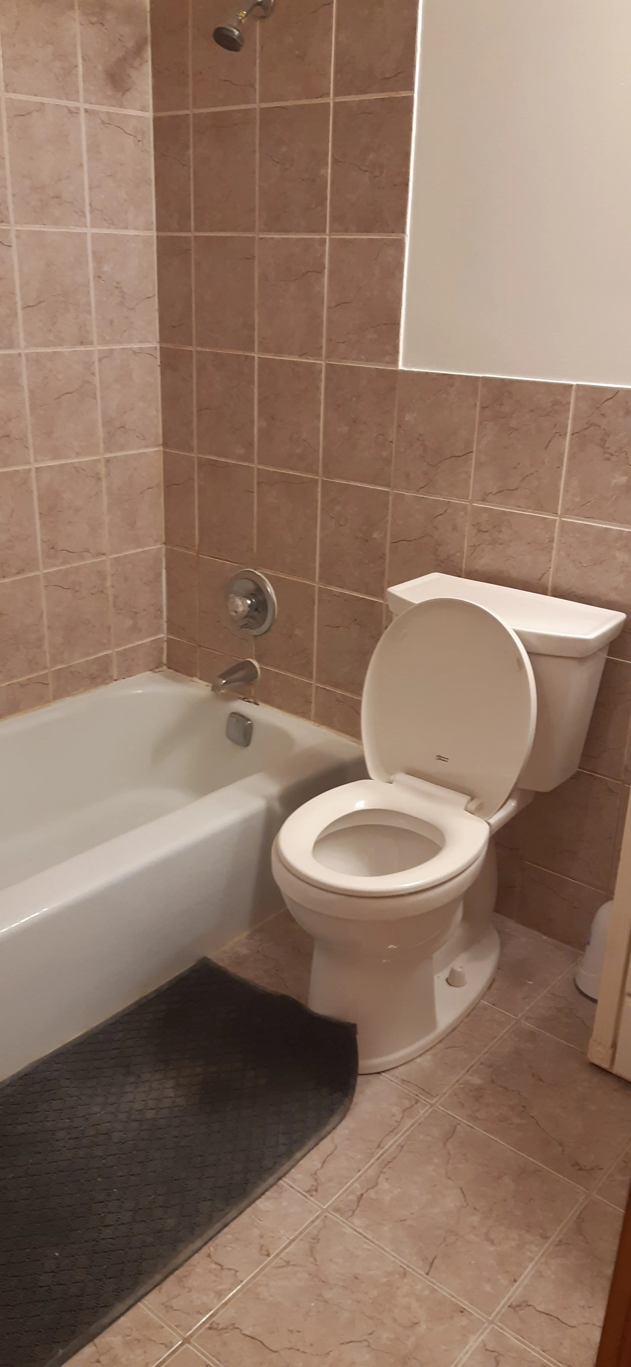 3620 N PINE GROVE AVE 60613-unit#410-Chicago-IL