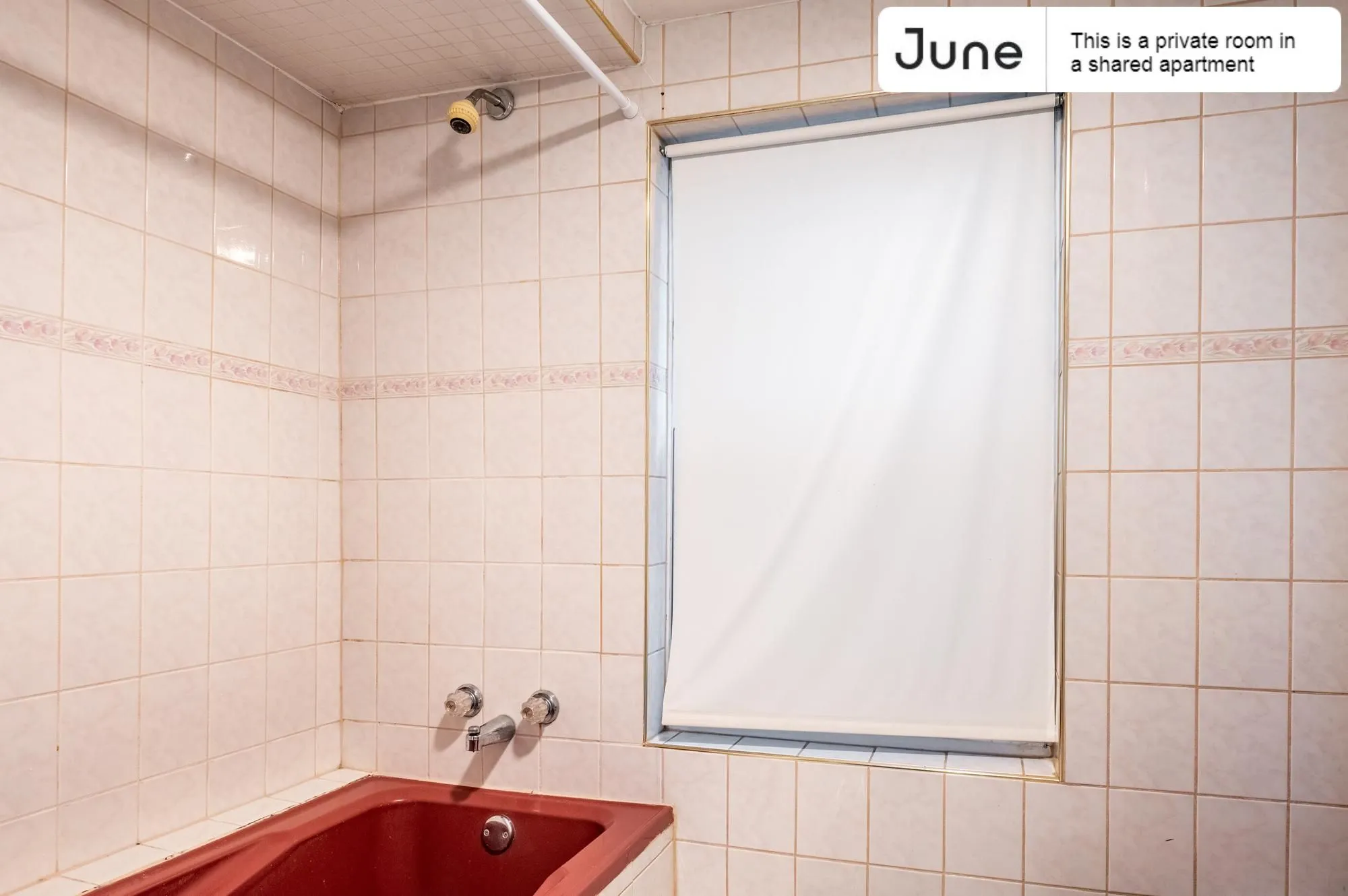 1455 N PAULINA ST 60622-Room For Rent-unit#Apt 1-Chicago-IL