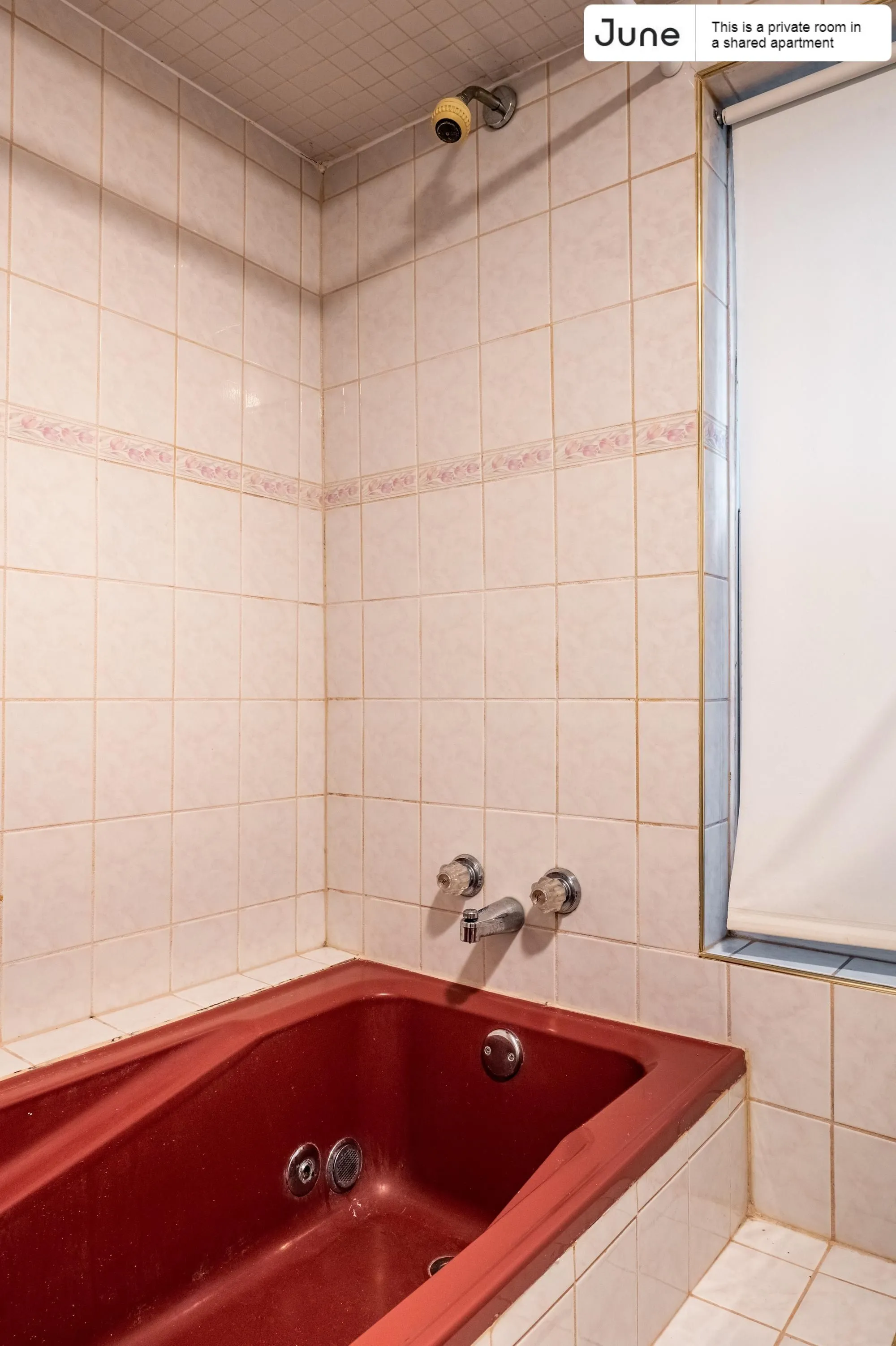 1455 N PAULINA ST 60622-Room For Rent-unit#Apt 1-Chicago-IL