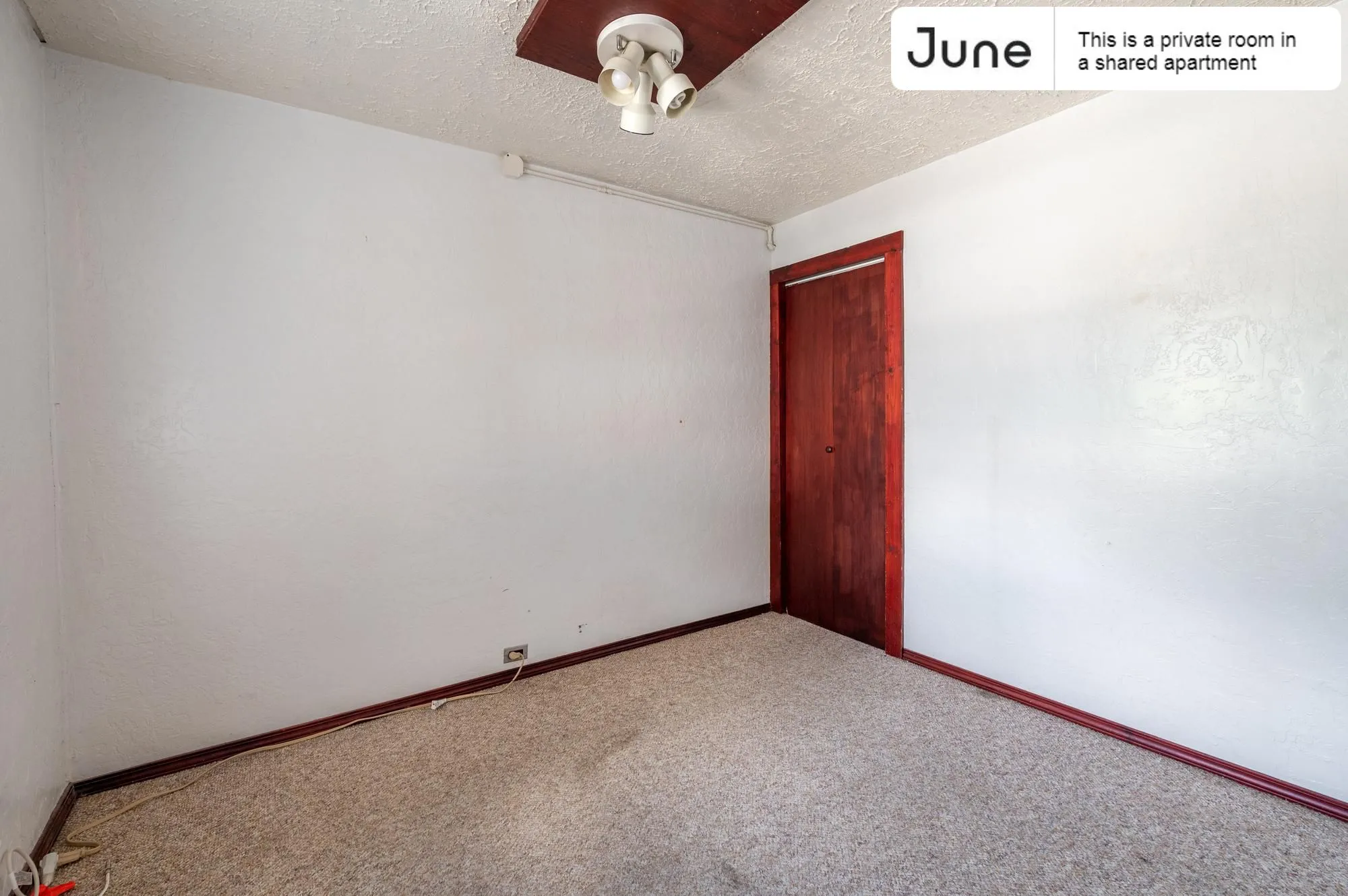 3922 N ASHLAND AVE 60613-Room For Rent-unit#002r-Chicago-IL