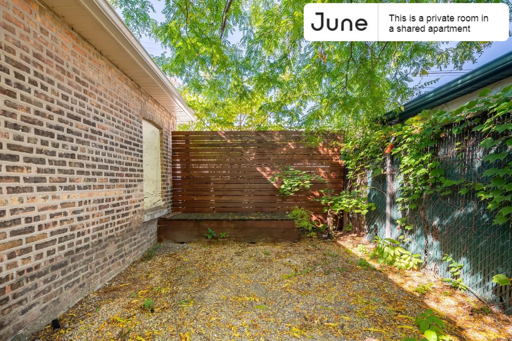 2218 N SAWYER AVE 60647-Room For Rent-unit#01-Chicago-IL