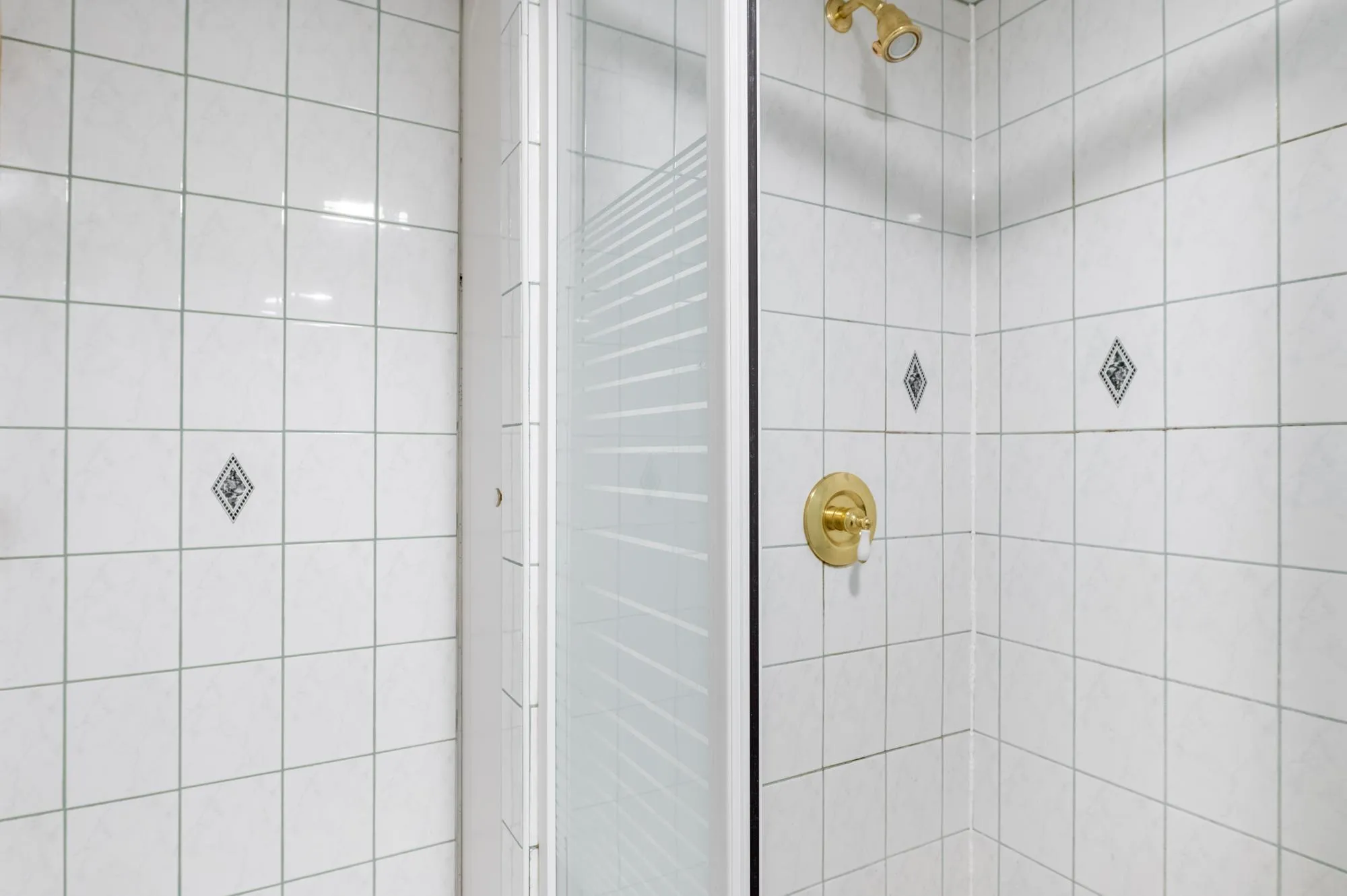 1455 N PAULINA ST 60622-unit#1-Chicago-IL