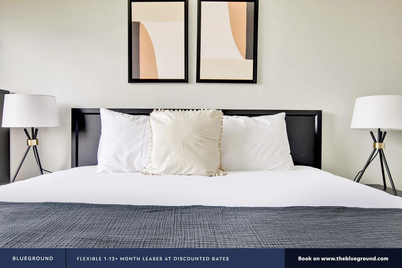 2752 HAMPTON PKWY 60201-2752 Hampton Parkway-unit#ID604-Evanston-IL