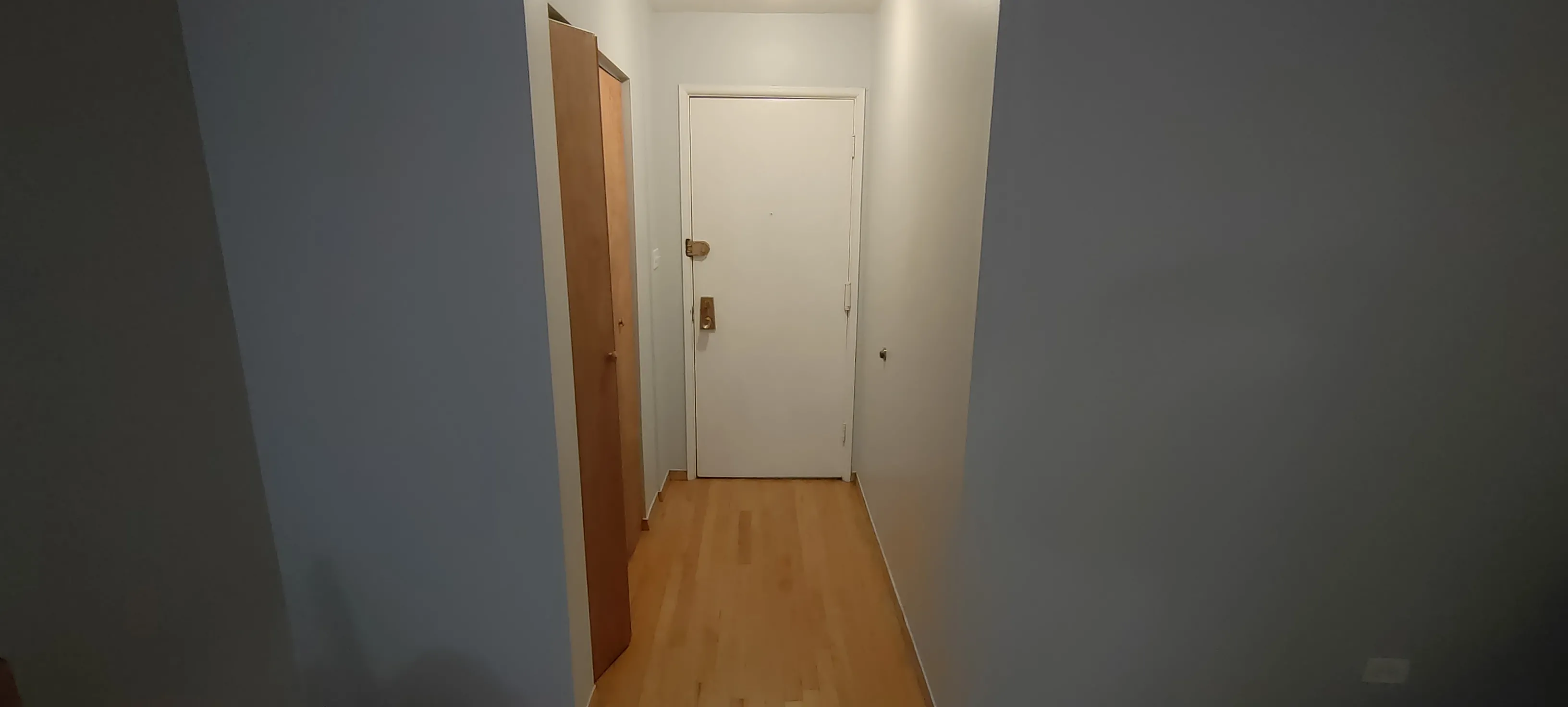 3620 N PINE GROVE AVE 60613-unit#410-Chicago-IL