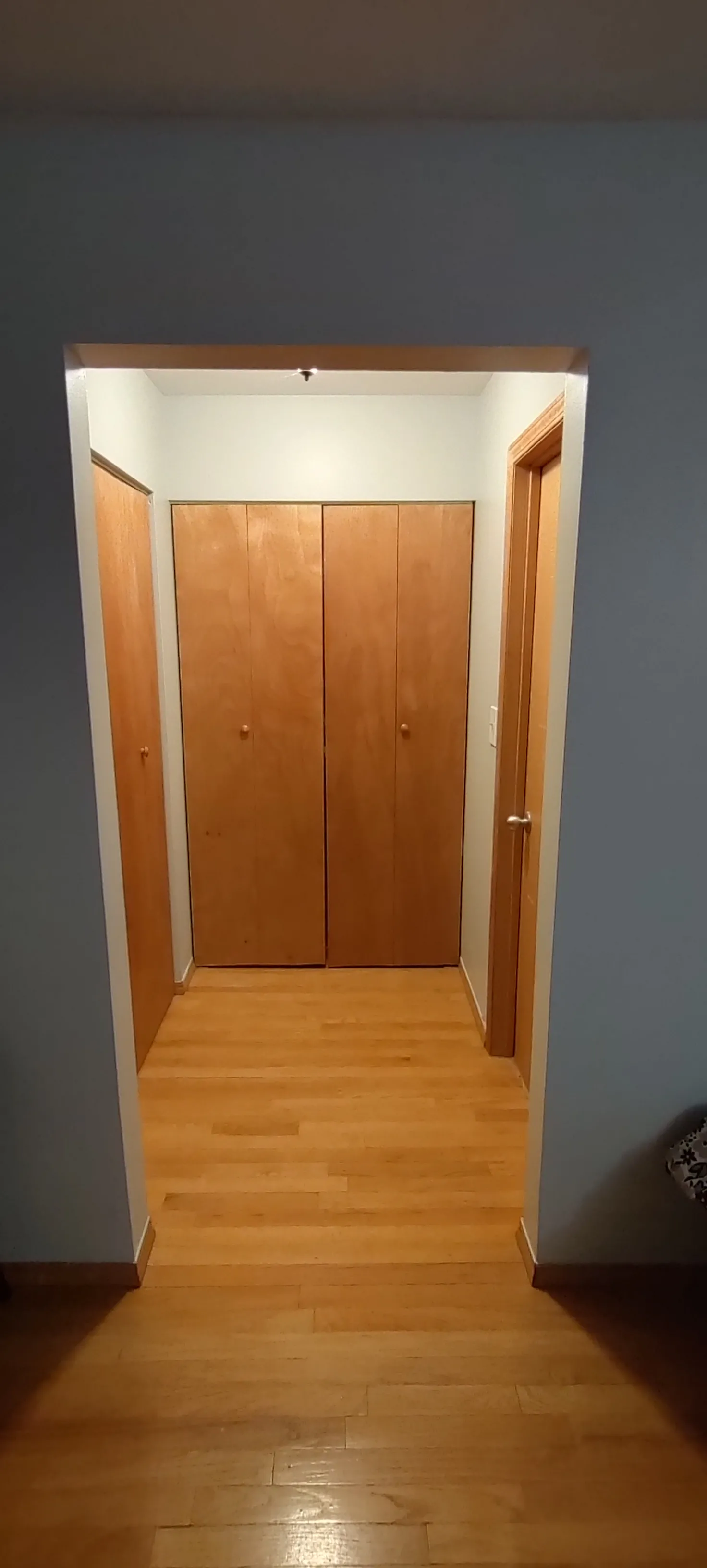 3620 N PINE GROVE AVE 60613-unit#410-Chicago-IL