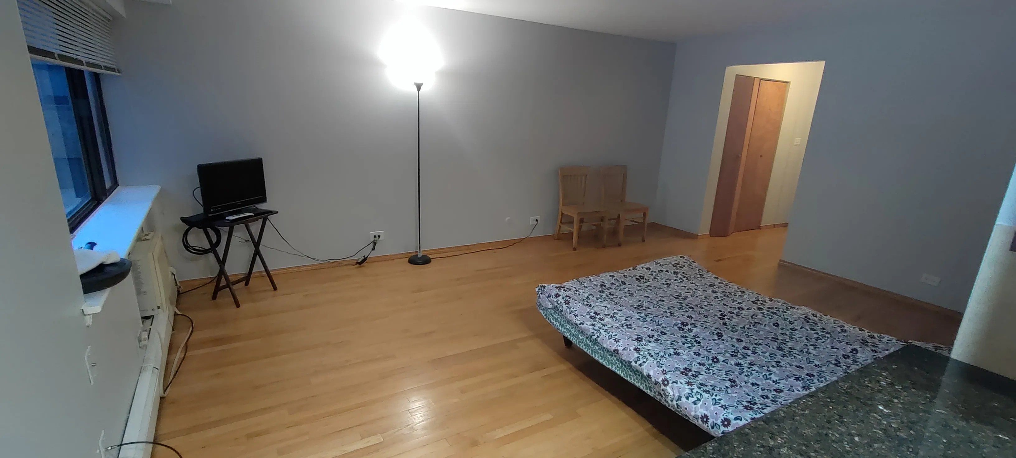 3620 N PINE GROVE AVE 60613-unit#410-Chicago-IL