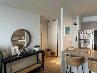 1749 N WELLS ST 60614-K Squared -unit#2110-Chicago-IL