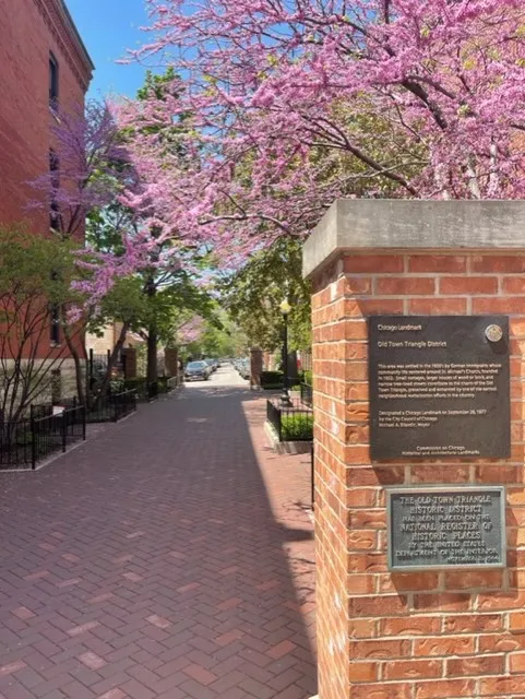 1824 N LINCOLN PARK WEST 60614-Park West Apartments-unit#306A-Chicago-IL