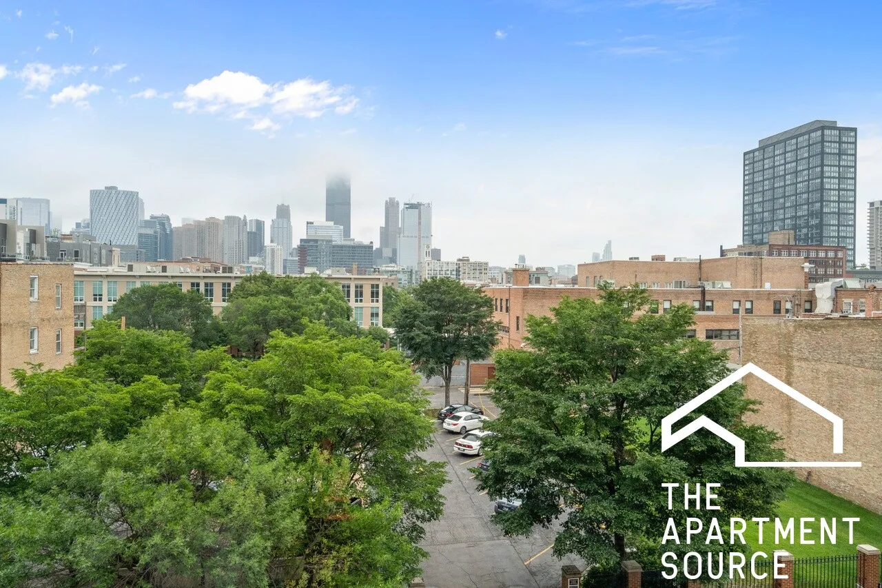 222 S RACINE AVE 60607-unit#302-Chicago-IL