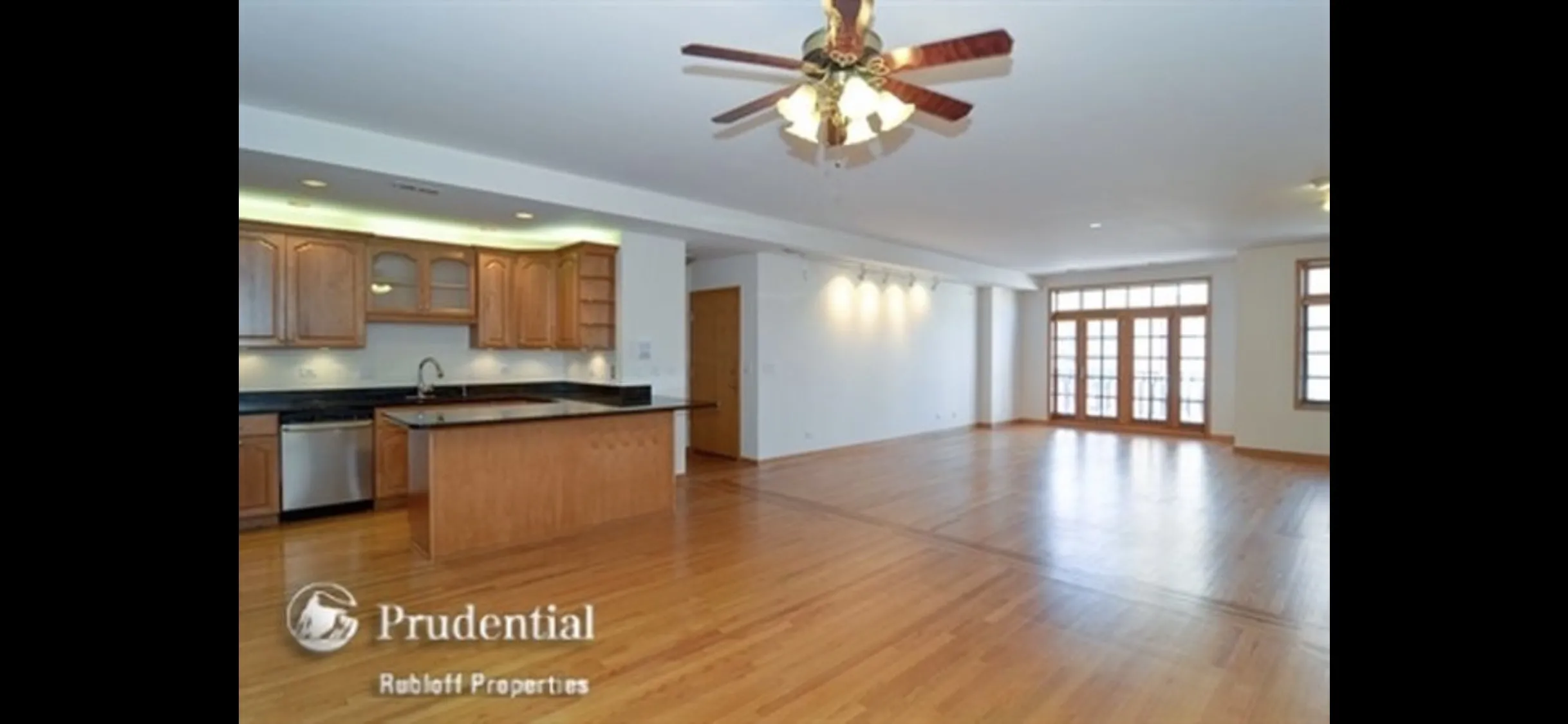 2533 N HALSTED ST 60614-unit#2N-Chicago-IL