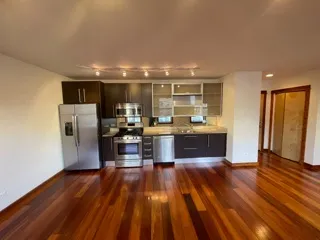 5346 S CORNELL AVE 60615-SilverCloud -unit#803-Chicago-IL