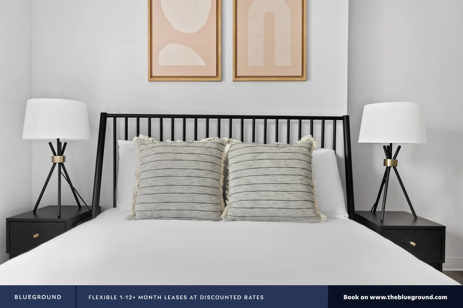 8 W CHESTNUT ST 60610-Chestnut Place-unit#ID650-Chicago-IL