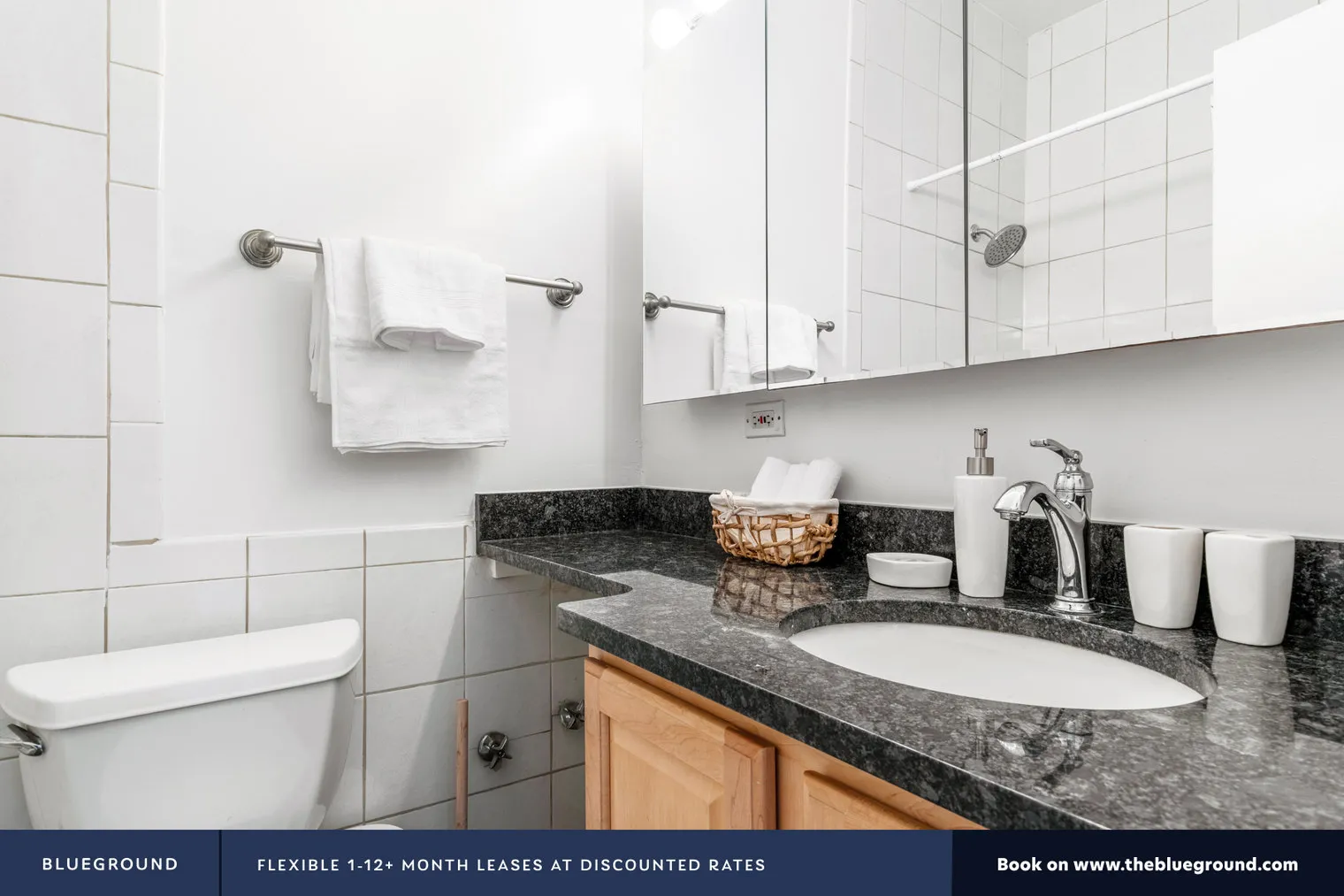 20 E SCOTT ST 60610-20 E. Scott-unit#ID259-Chicago-IL