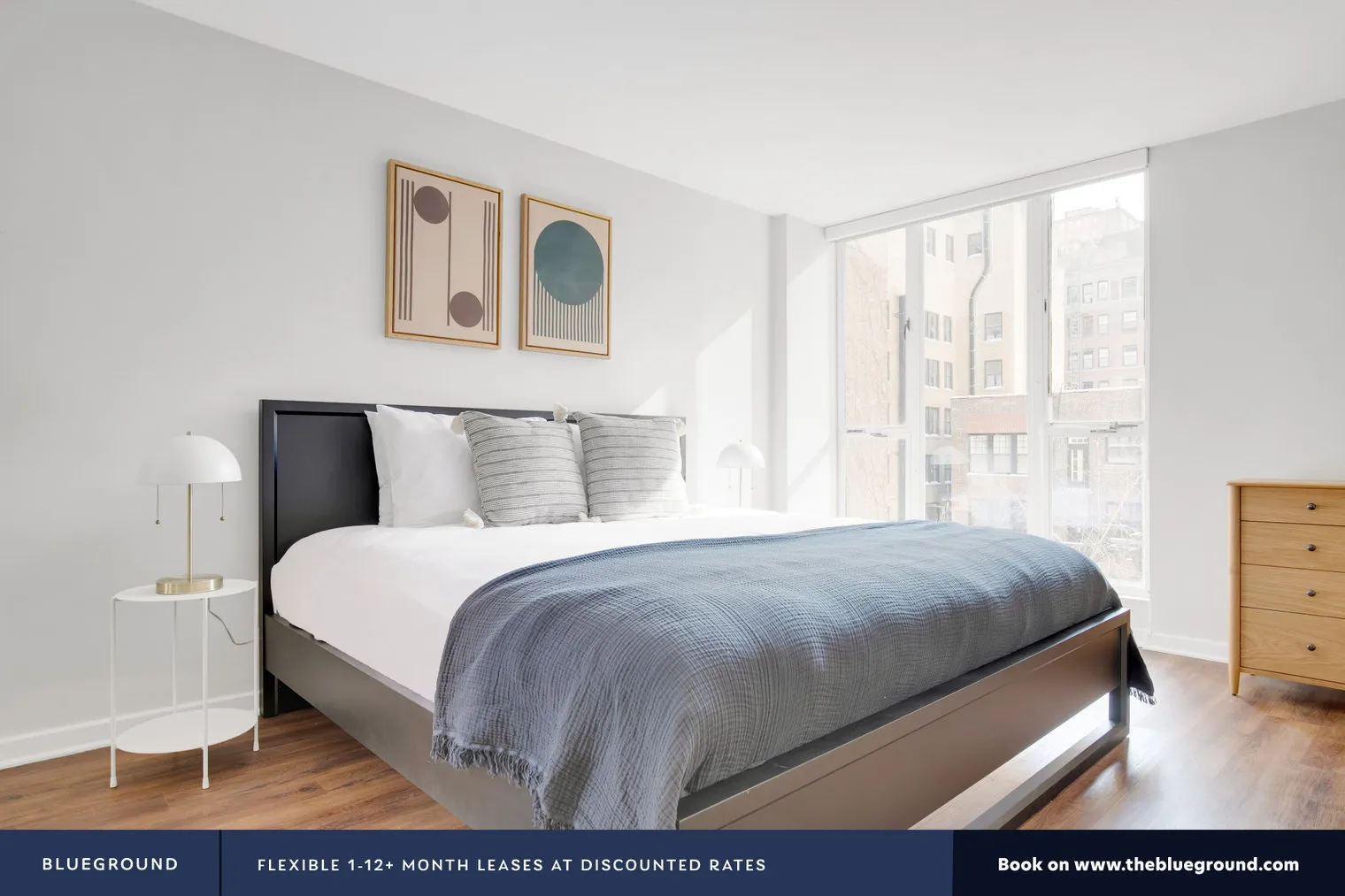 227 E WALTON PL 60611- 227 East Walton-unit#ID597-Chicago-IL