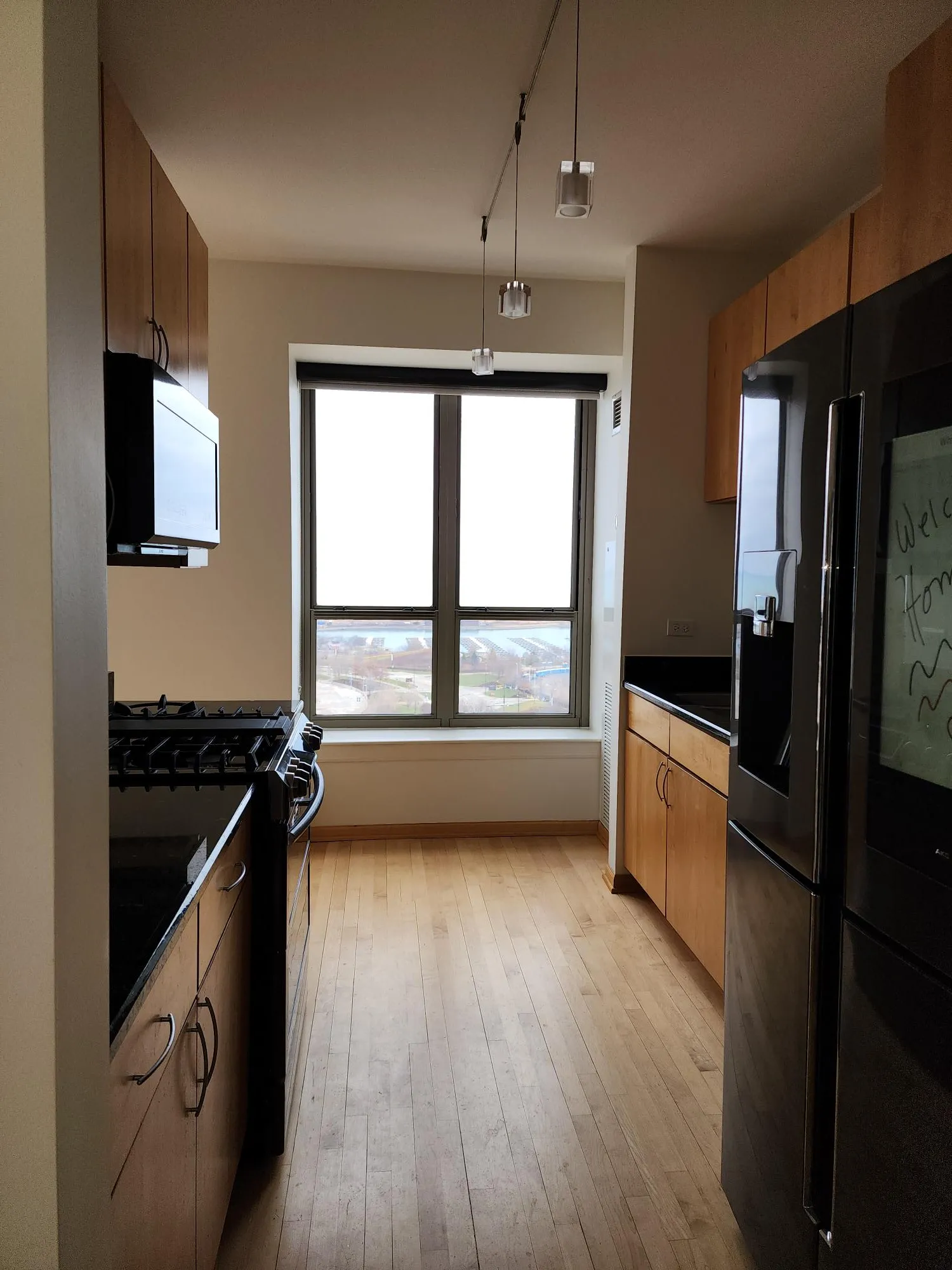 1717 S PRAIRIE AVE 60616-unit#1901-Chicago-IL