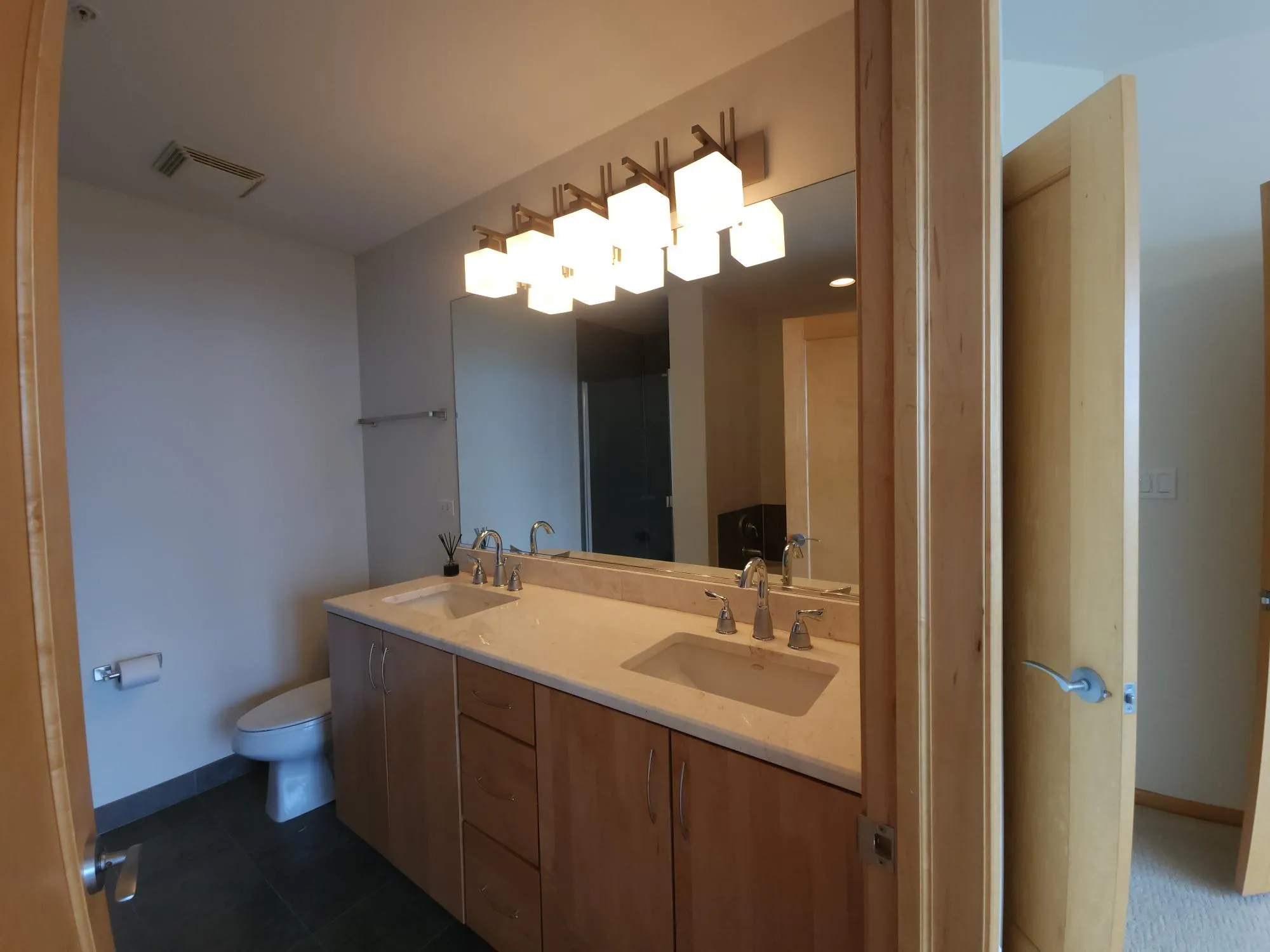 1717 S PRAIRIE AVE 60616-unit#1901-Chicago-IL