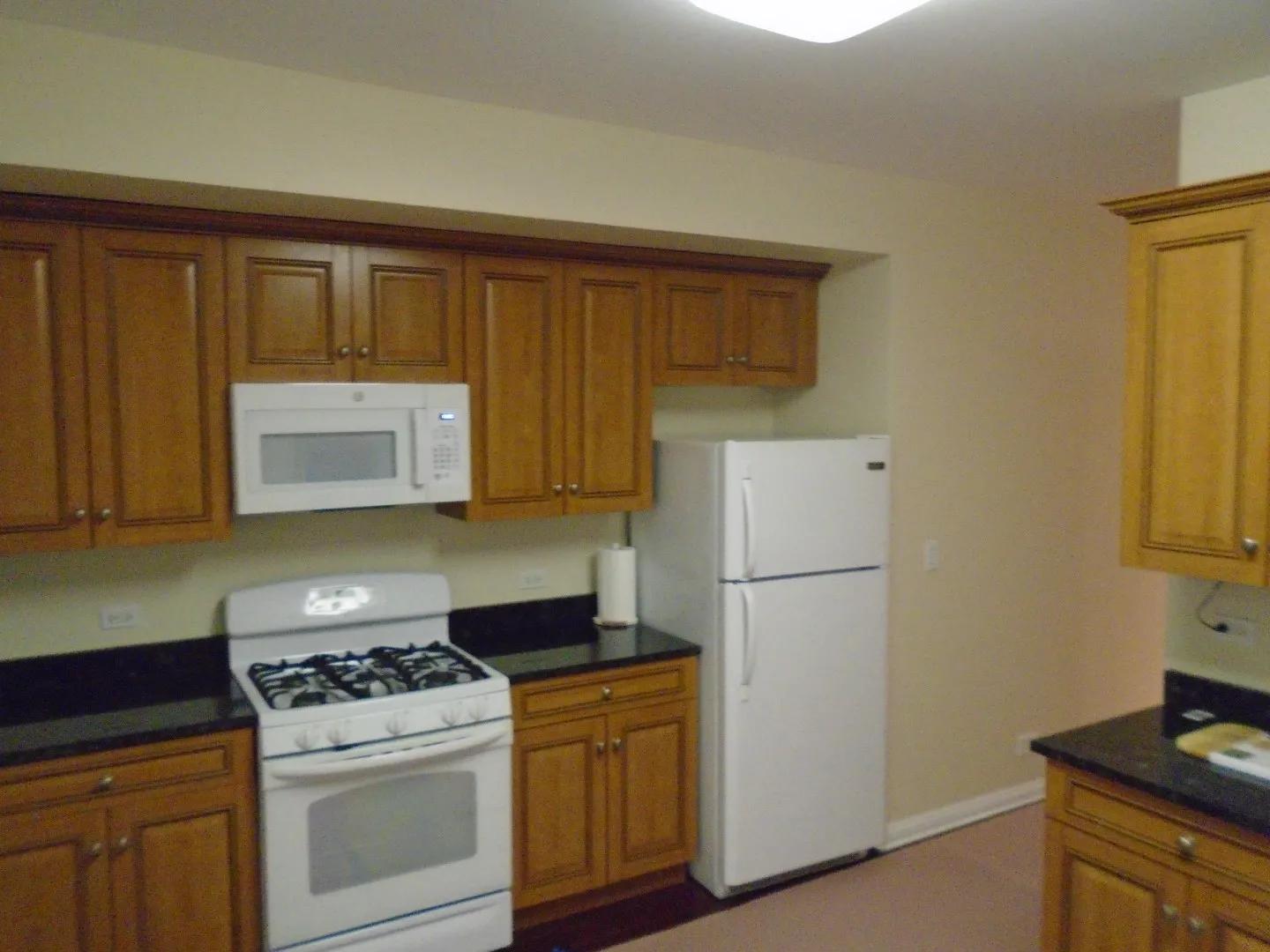 1854 N DAYTON ST 60614-unit#1R-Chicago-IL