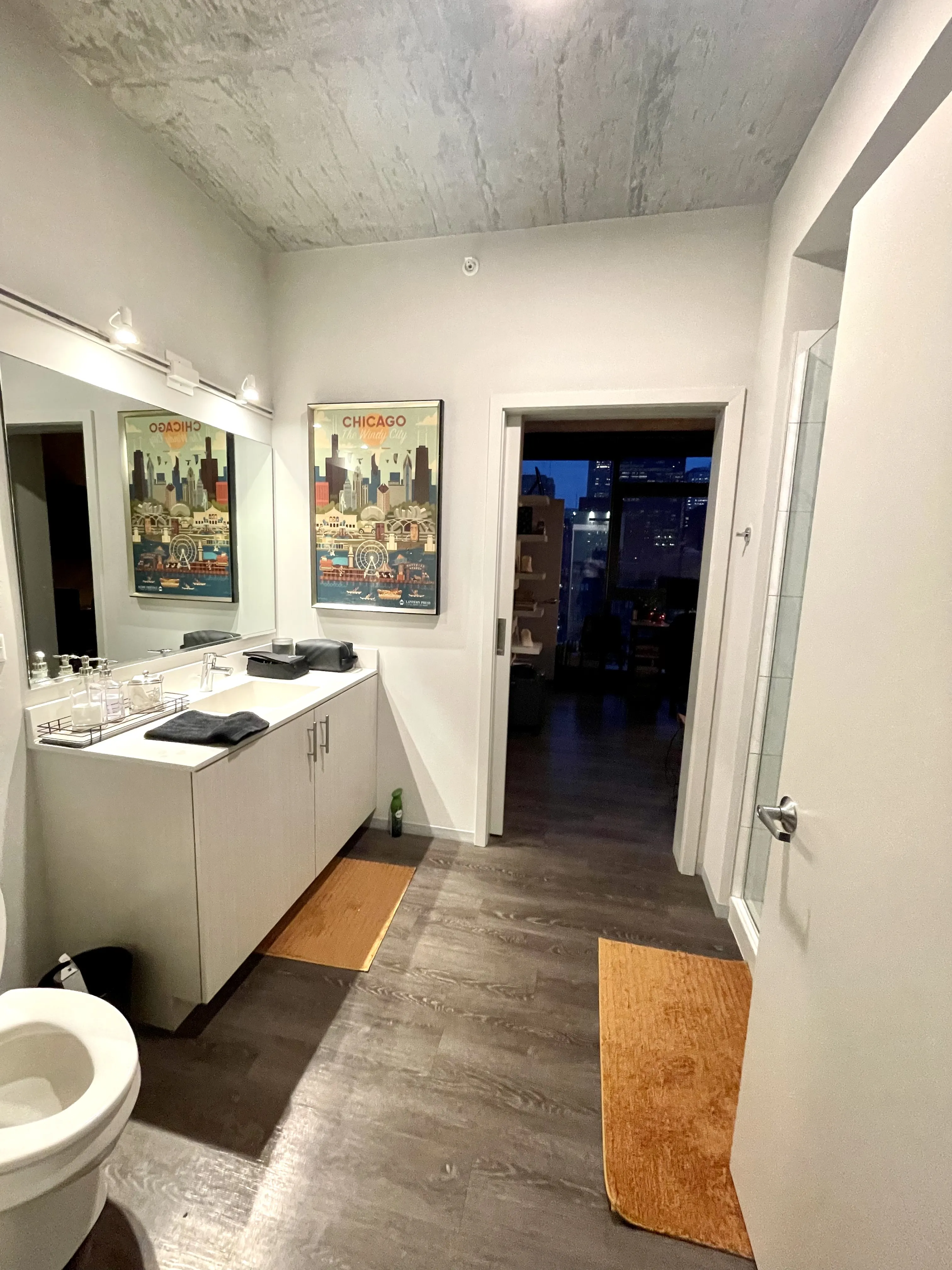 717 S CLARK ST 60605-Imprint-unit#2008-Chicago-IL