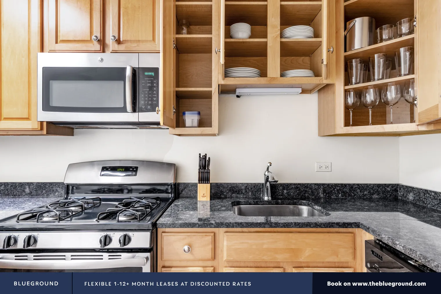 20 E SCOTT ST 60610-20 E. Scott-unit#ID259-Chicago-IL