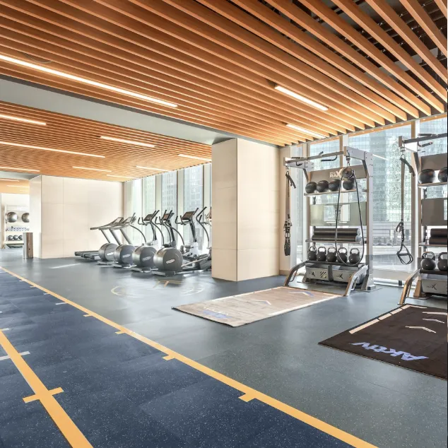 313 W WOLF POINT PLAZA 60654-Wolf Point East-unit#701-Chicago-IL