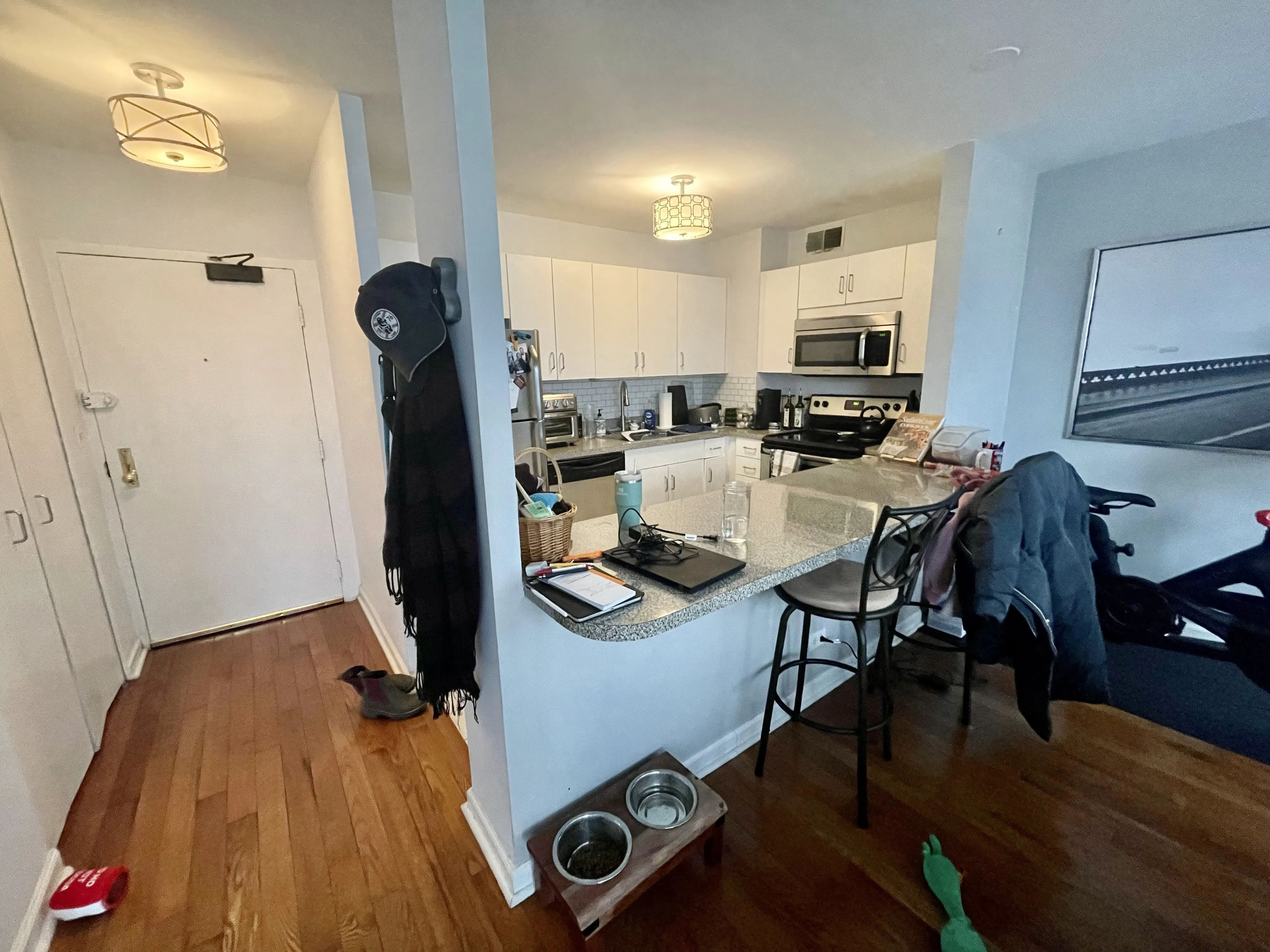 33 E CEDAR ST 60611-unit#10B-Chicago-IL