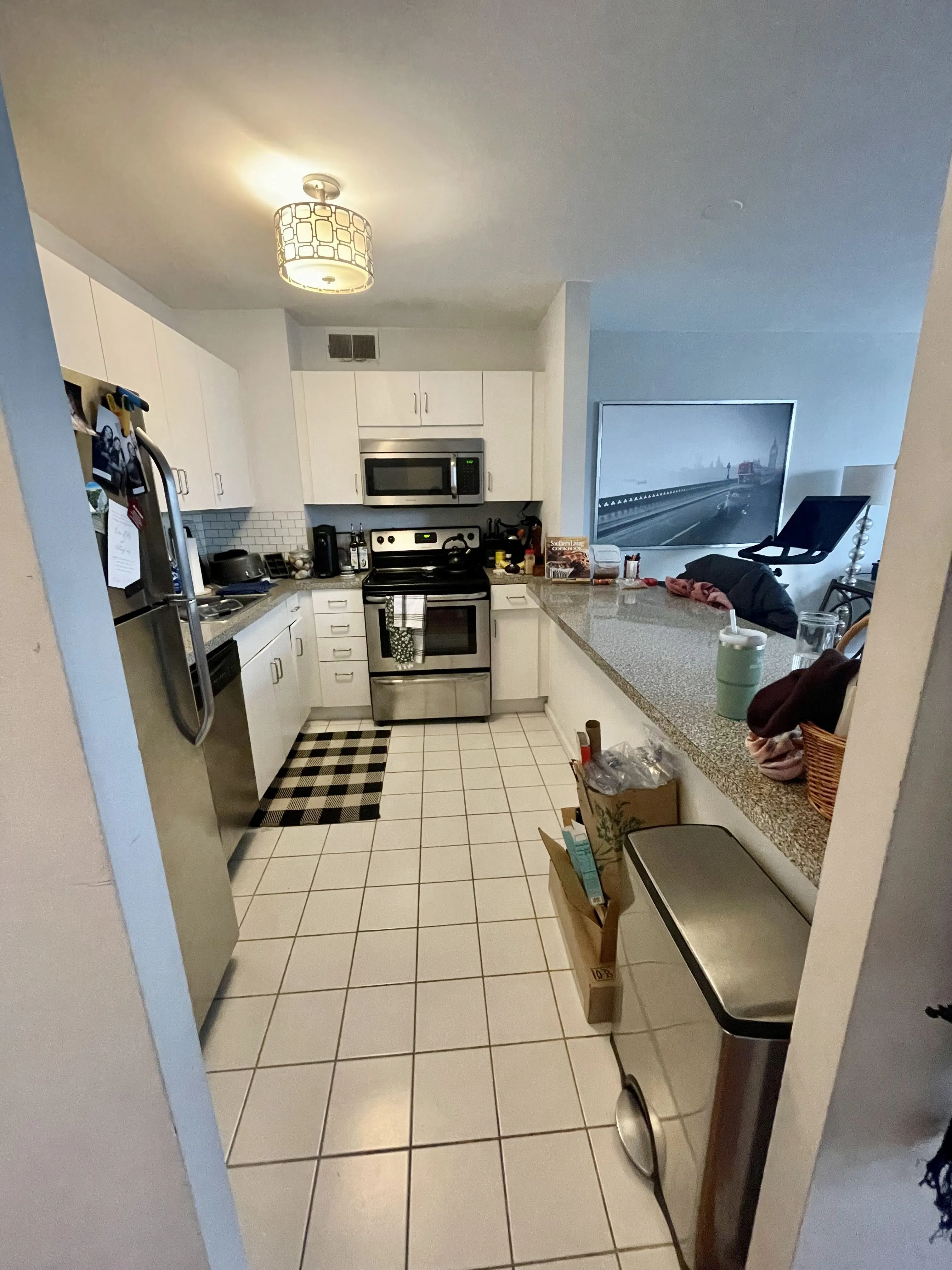 33 E CEDAR ST 60611-unit#10B-Chicago-IL