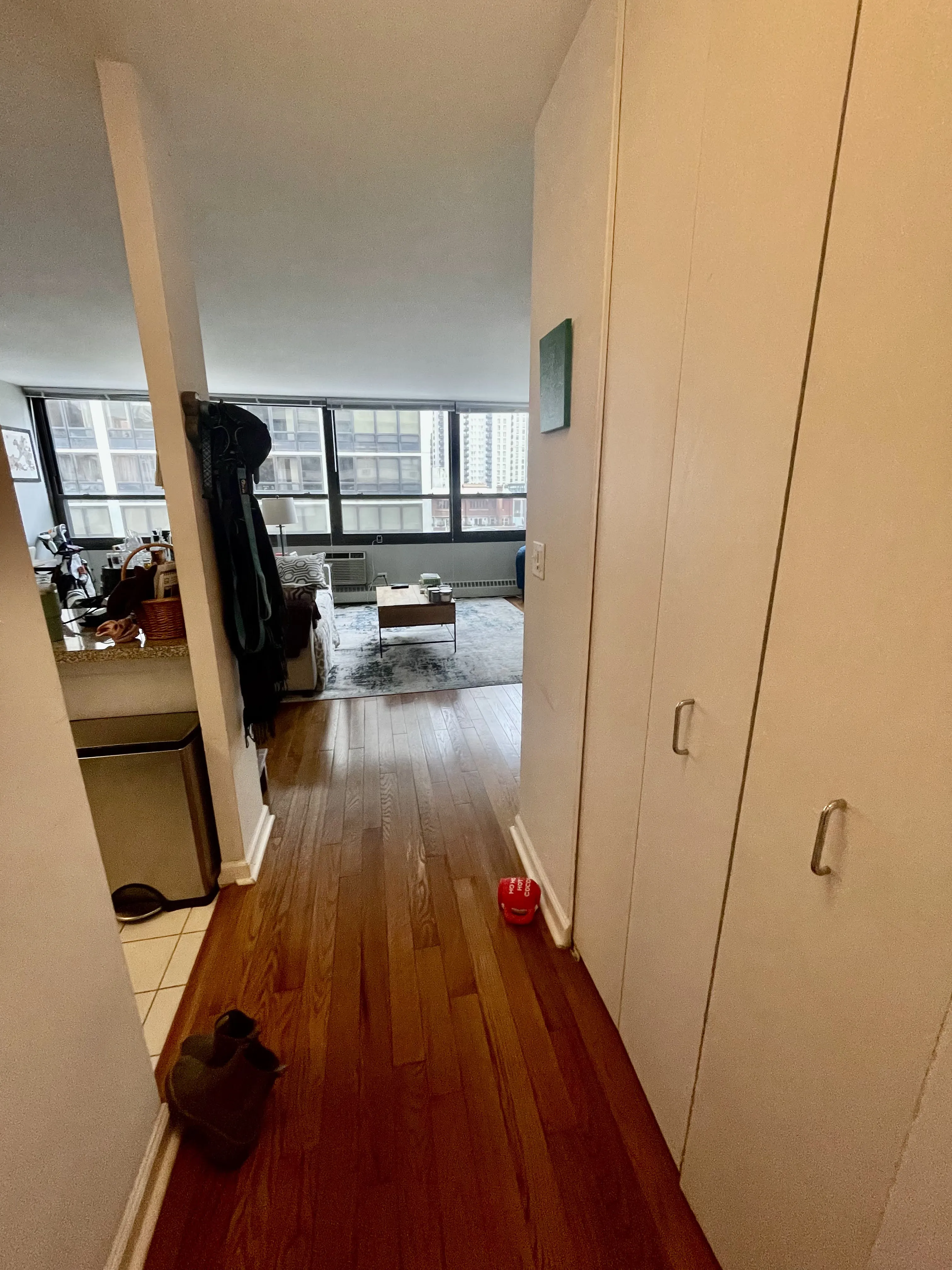 33 E CEDAR ST 60611-unit#10B-Chicago-IL