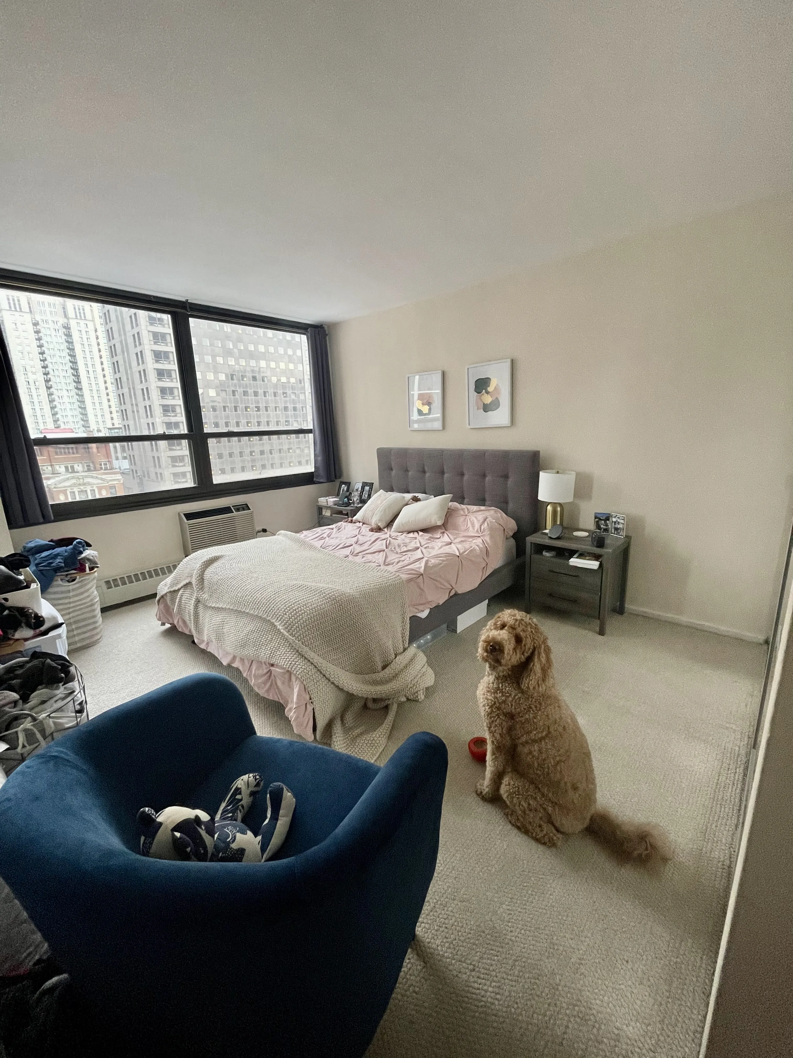 33 E CEDAR ST 60611-unit#10B-Chicago-IL