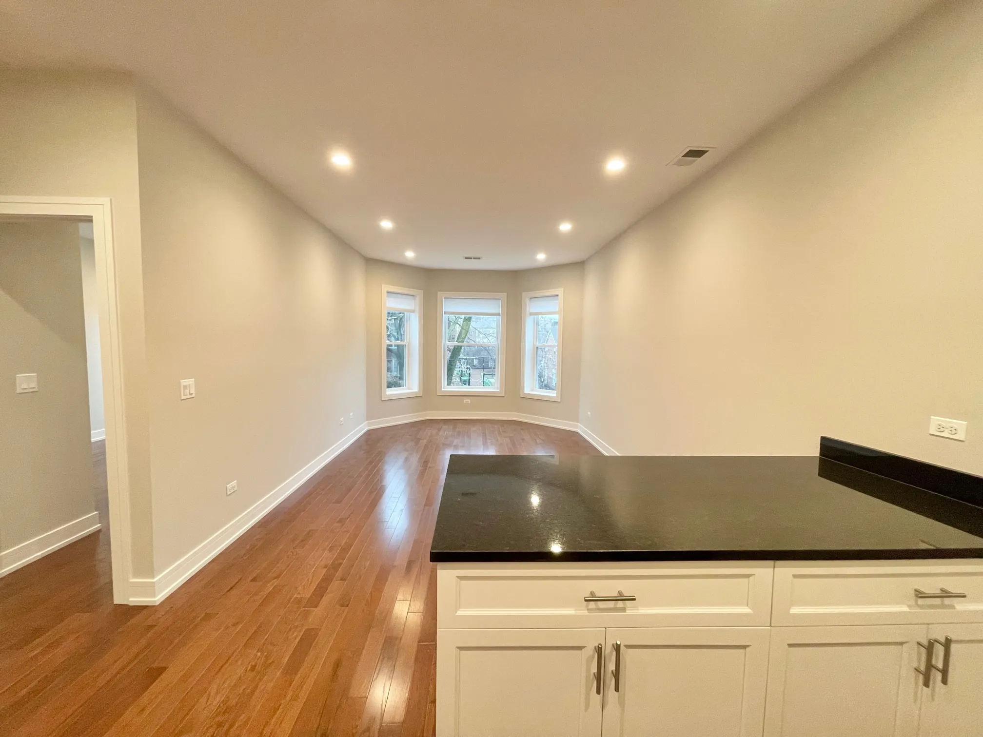 4641 N MALDEN ST 60640-Malden Apartments-unit#1-Chicago-IL